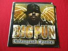 Big Pun ENDANGERED SPECIES 2x LP fat joe remy ma raekwon nas jadakiss beatnuts