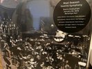 Mad Season Sonic Evolution Purple Vinyl Sealed Pearl Jam Chris Cornell AIC