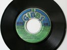 DENNIS BROWN featuring DHAIMA - A TRUE/NU TRUE - JOE GIBBS RECORD GLOBE