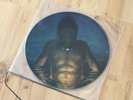 TOOL 1996 Cesaro Summability Promo Picture Disc Aenema Third Eye Vinyl LP