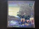 FLEETWOOD MAC- TANGO IN THE NIGHT GREEN VINYL LP.