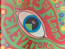 The Psychedelic Sounds Of The 13th Floor Elevators 2LP Vinyl 2013 New Sealed