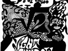 THE SQUARE ROOT OF TWO-NIGHT SHADOW NEW VINYL RECORD