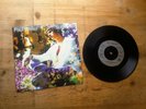 Paul Weller Sunflower / Bull-Rush Magic Bus EX 7