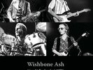 Wishbone Ash - Live at Rockpalast 1976
