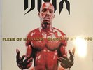 DMX - Flesh Of My Flesh, Blood Of My Blood (EX+) (1998 - 2X Vinyl LP US)
