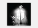 Sparklehorse Boxset Vinyl (First 4 Albums) Box of Stars
