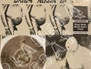 Butthole Surfers Brown Reason To Live Clear Black Swirl  Colored Vinyl