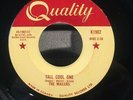 THE WAILERS  RARE GARAGE  ROCK 45 on Canadian Quality Label NEAR MINT