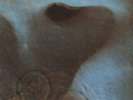 Meddle - 1st - EX Pink Floyd vinyl LP album record UK SHVL795 HARVEST 1971