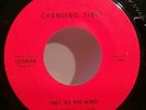 CHANGING TIMES Free As The Wind '69 local Albany NY region garage Myddle Class