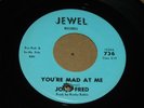 OBSCURE GARAGE PSYCH 45 - JOHN FRED - YOU'RE MAD AT ME / LENNE - JEWEL
