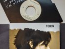 NATALIE IMBRUGLIA TORN 7