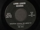 EVIL: whatcha gonna do about it / always runnin' around LIVING LEGEND 7