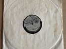 Dubplate BLING DAWG ELEPHANT MAN MIKEY MELODY Acetate REGGAE 10