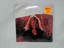 Ty Segall 