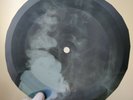 DAVID BOWIE CHANGE X-Ray USSR Record Roentgen Ribs  Bones Music Vinyl