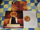 Enya - The memory of trees - Vinyl LP album 2016
