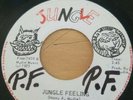 Reggae 45 - Mudies All Stars - Jungle Feelings  - Love  Without  Feeling