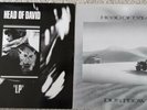 Head Of David - 'LP' & 'Dustbowl' Vinyl LP  Album bundle Godflesh Steve Albini