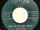 Jimmy Witter - My Kind Of Woman 45 Neptune rockabilly vg++