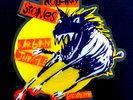 ROLLING STONES URBAN JUNGLE 1990 THE MAD DOG VINYL SHAPED PICTURE DISC LTD
