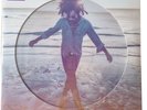LENNY KRAVITZ ?– RAISE VIBRATION 2X PICTURE DISC VINYL LP  NEW  Sealed