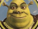 Counting Crows - Accidentally In Love (Shrek 2) - Pic disc 7” single very rare