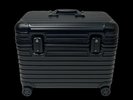 Pilot Case