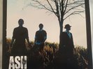 Ash - Twilight of the Innocents (2007) double vinyl LP. No longer available RARE