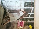 Violent Femmes