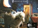 Fall Out Boy: Infinity On High (12” Vinyl)