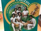 TI CELESTE ESSENTIAL GWO KA LP DANCEFLOOR 