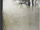 Bon Iver ?– For Emma, Forever Ago Vinyl LP  New Sealed