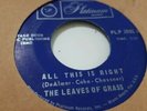 The Leaves of Grass City in the Rain Vintage Record 45 7