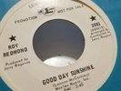 Roy Redmond Good Day Sunshine Vintage Record 45 7