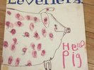 Levellers Hello Pig CHINA RECORDS VINYL LP Promo Sticker On Rear