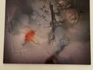 COCTEAU TWINS - SUNBURST AND SNOWBLIND - 12