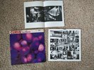 Curve Cuckoo vinyl ANXLP81 UK pressing Very Good condition