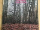 Twink Think Pink Original Vinyl LP Polydor 2343-032 VG+/G