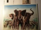 Elvis Costello And The Attractions ‎– Armed Forces UK LP VINYL + POSTCARDS (A03)