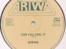 Aisha / Panites ?– Can You Feel It ,Vinyl 12