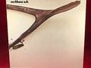 WISHBONE ASH Wishbone Ash 1977 German issue  vinyl LP EXCELLENT CONDITION same