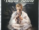 David Bowie - LIVEANDWELL.COM - 2x LP Vinyl - Brilliant Live Adventures 3 - NEW