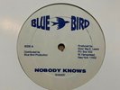 Shandy - Nobody Knows - RARE Unknown Synth Reggae / Dub HEAR Sound Clip