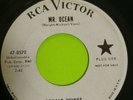 Donald Height Girl Do You Love Me, Mr. Ocean 7' 45