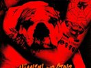 Sheer Terror - Hässlich Und Stolz RED/100 LP BLOOD FOR BLOOD DEATH THREAT