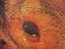 CATHERINE WHEEL - Ferment - Vinyl - Import - **BRAND NEW/STILL SEALED** - RARE