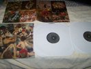 PANDA BEAR  VINYL RECORD