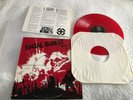 Rat in a Maze by Social Unrest 